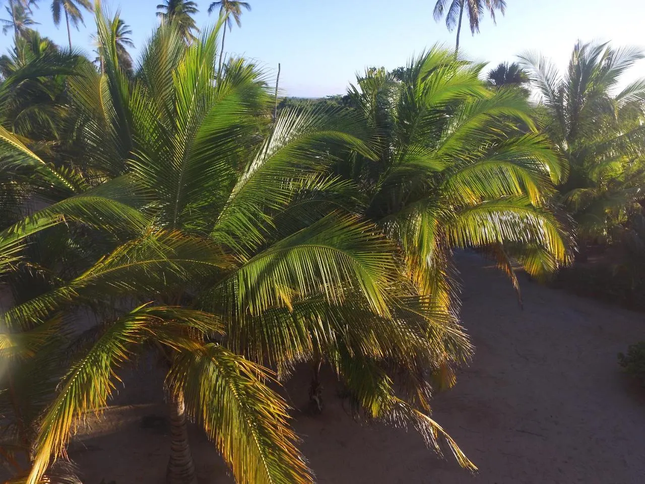 Punta Cana Eco Glamping Hotel La Vacama Luxury tent